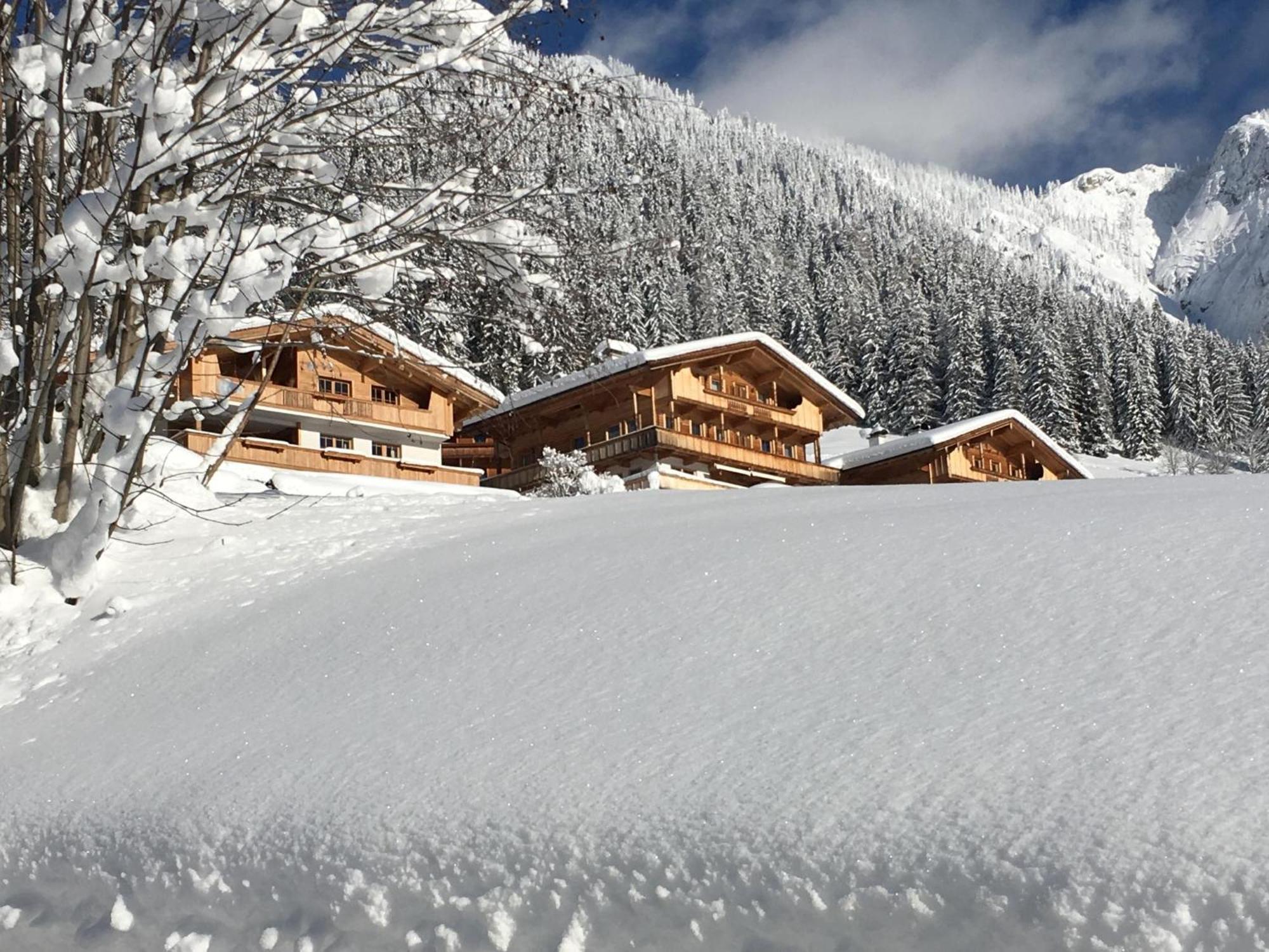 Haus Fernwald Top Tim Und Nynke Alpbach Exterior photo